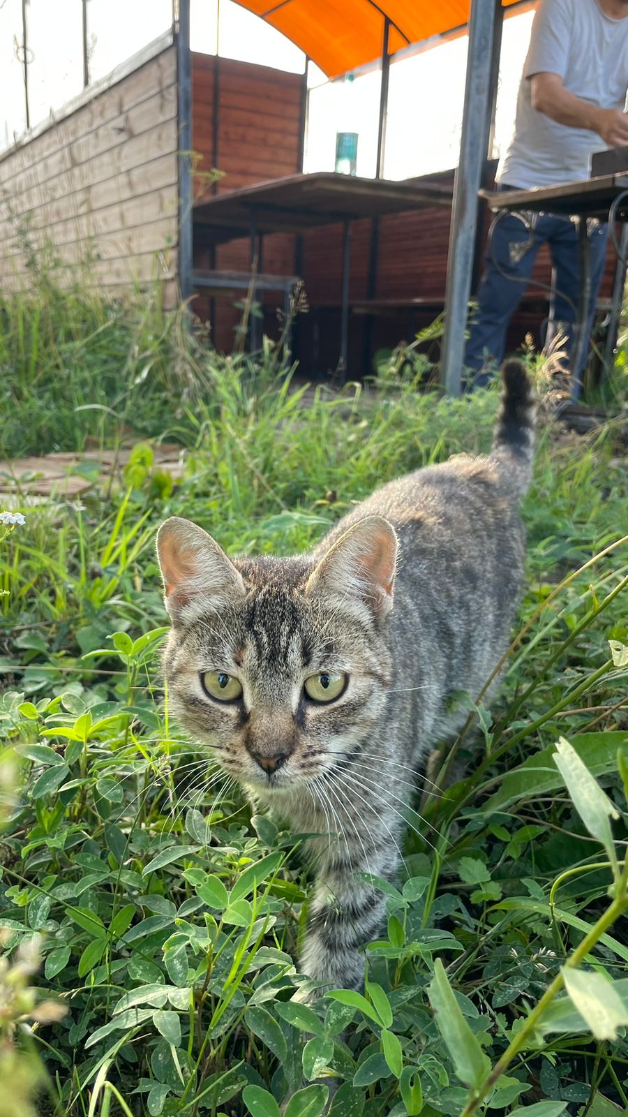 Фото Samsonov Hotels