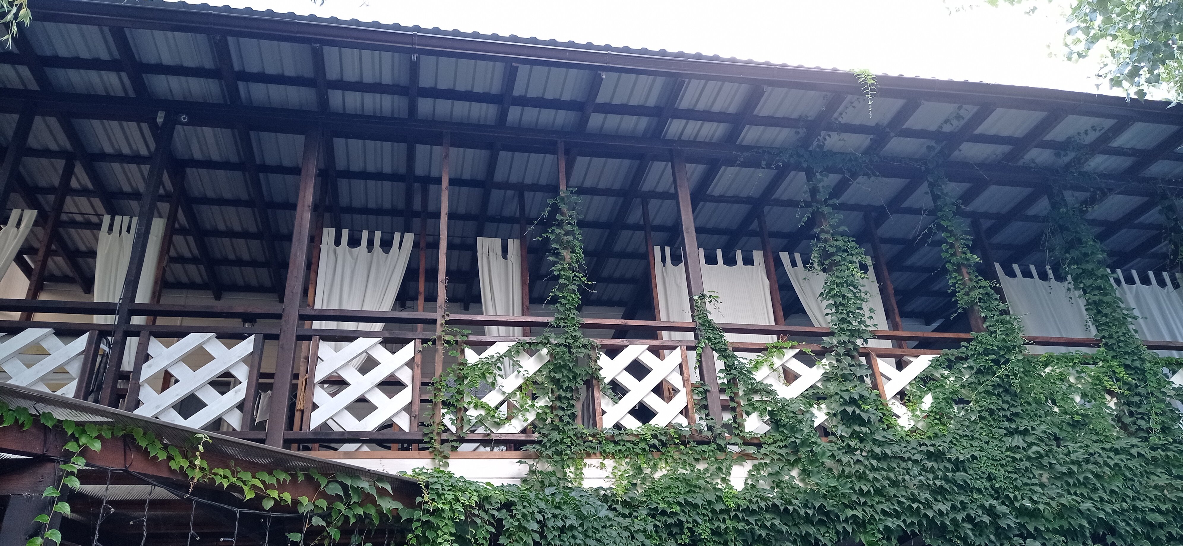 Фото Белая Деревня