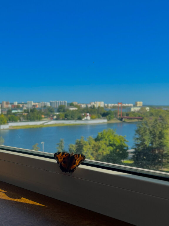 Фото Гостиница Пенза