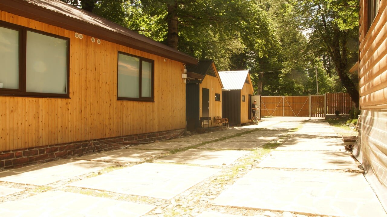 Фото Чинара