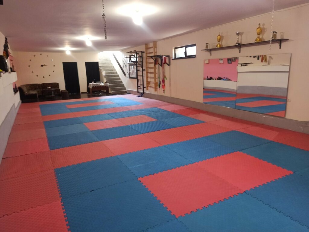 Sports school Karate-Do, Yerevan, photo