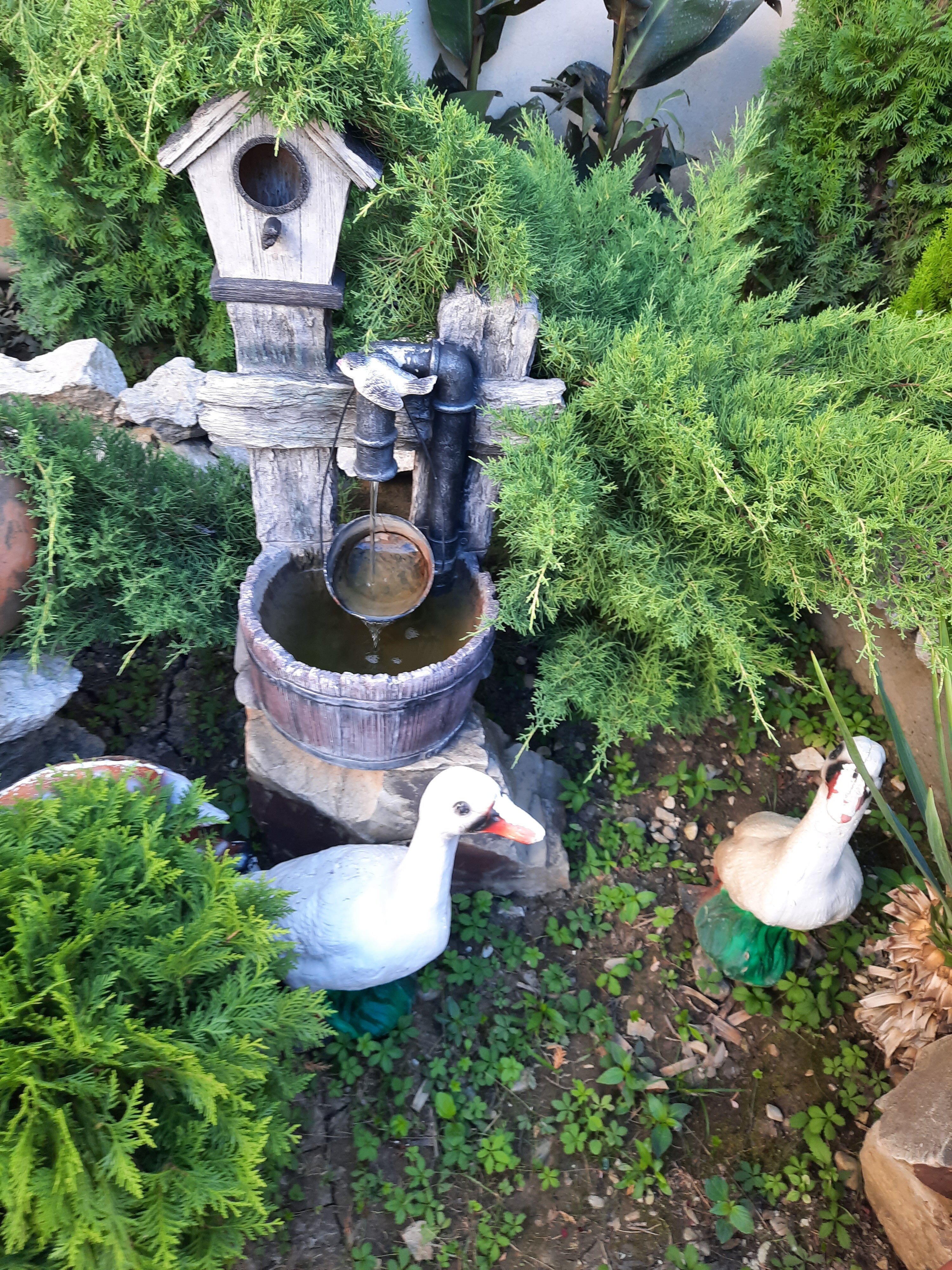 Фото Карамель