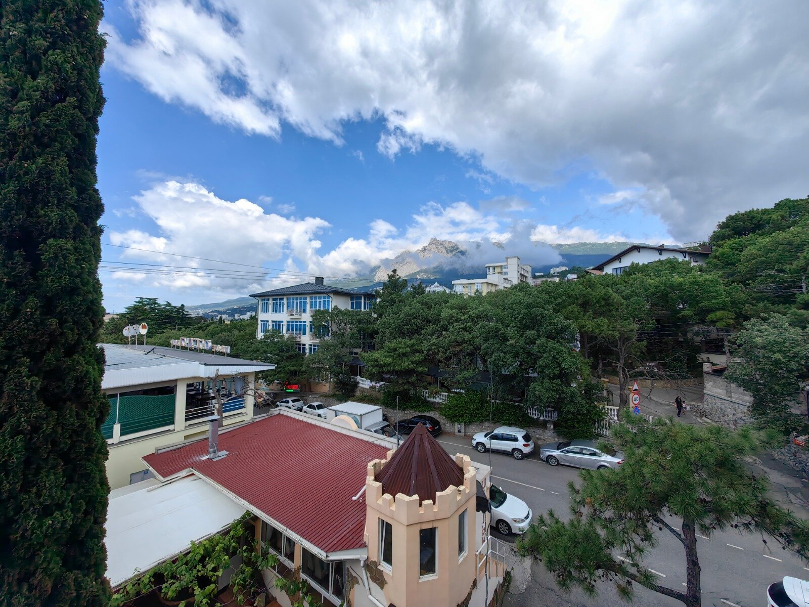 Фото Пальма