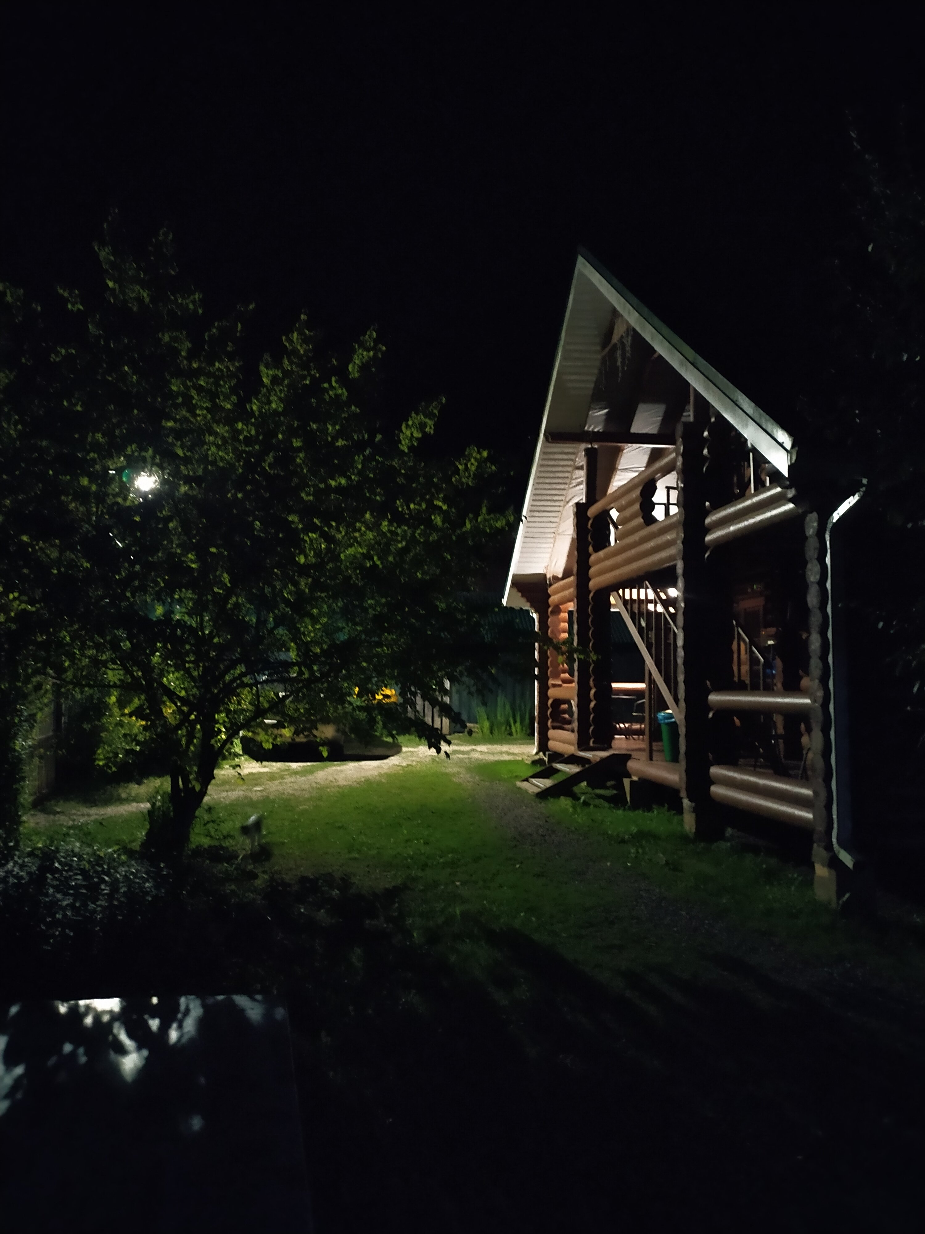 Фото Лесной