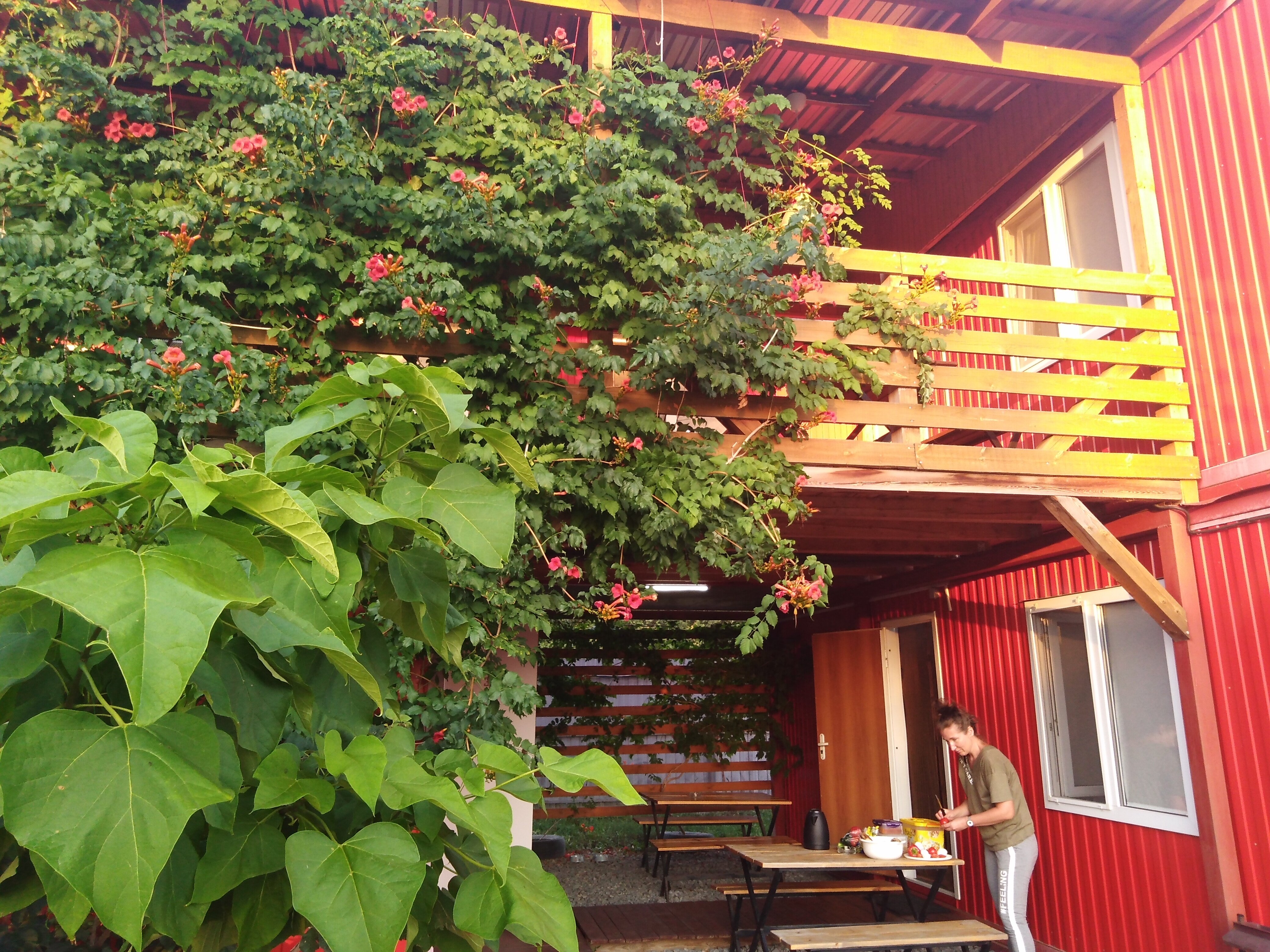 Фото Добрыня