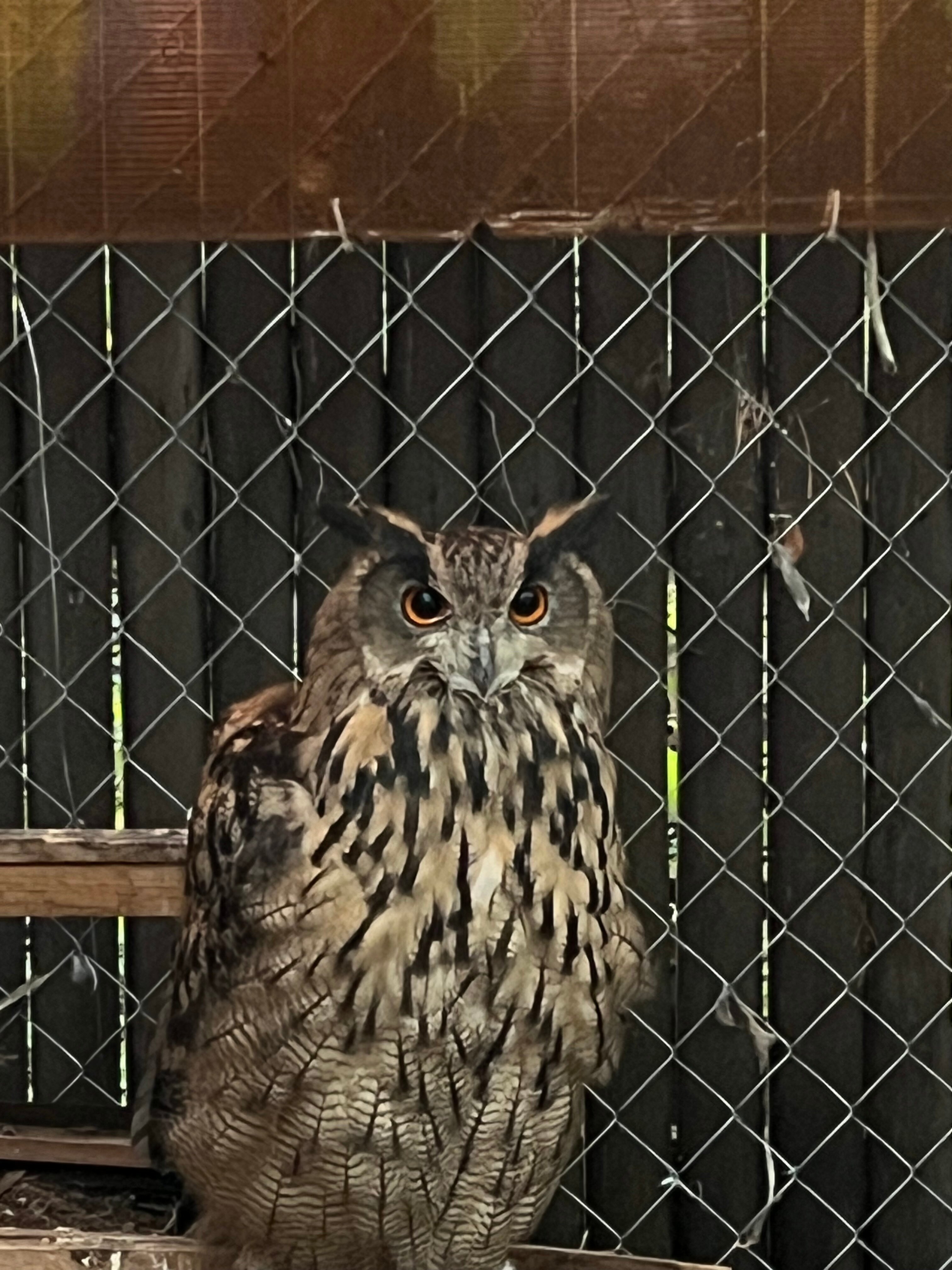 Фото Губернский двор
