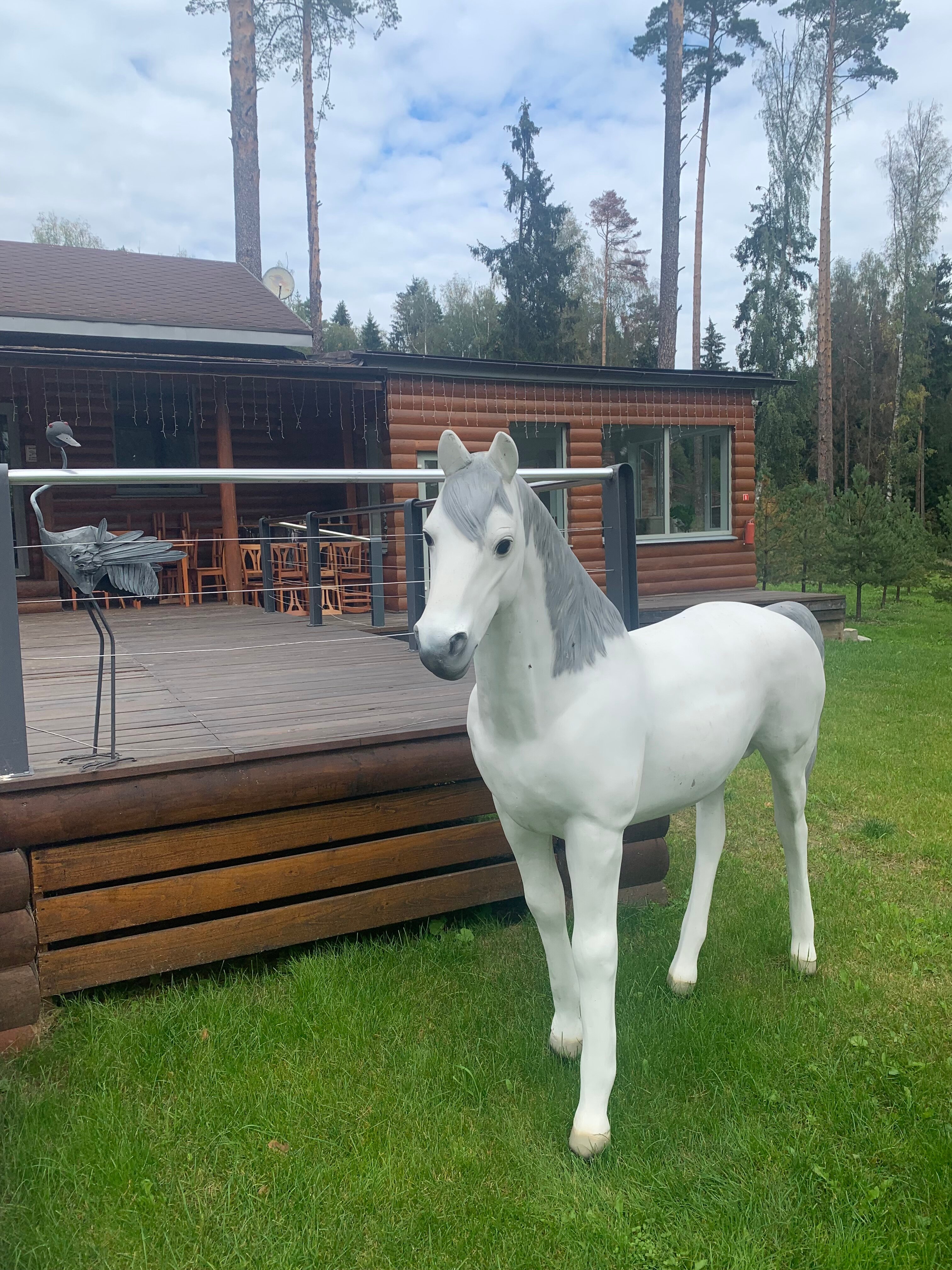 Фото Нептун-2