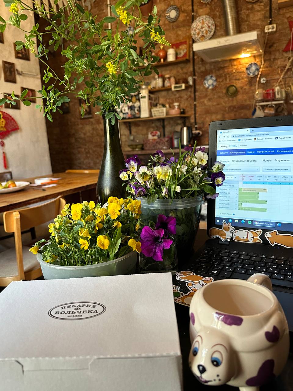 Фото Polosaty space