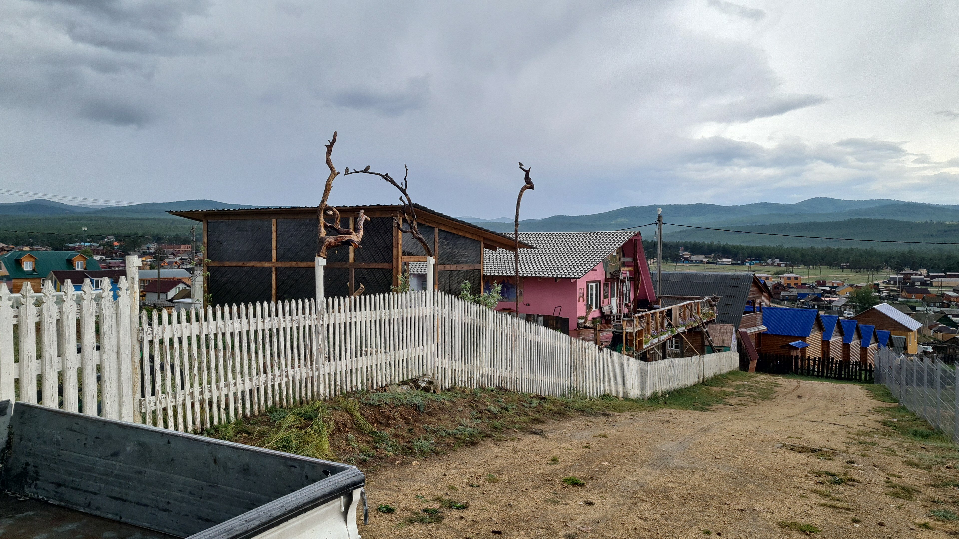 Фото Филоксения