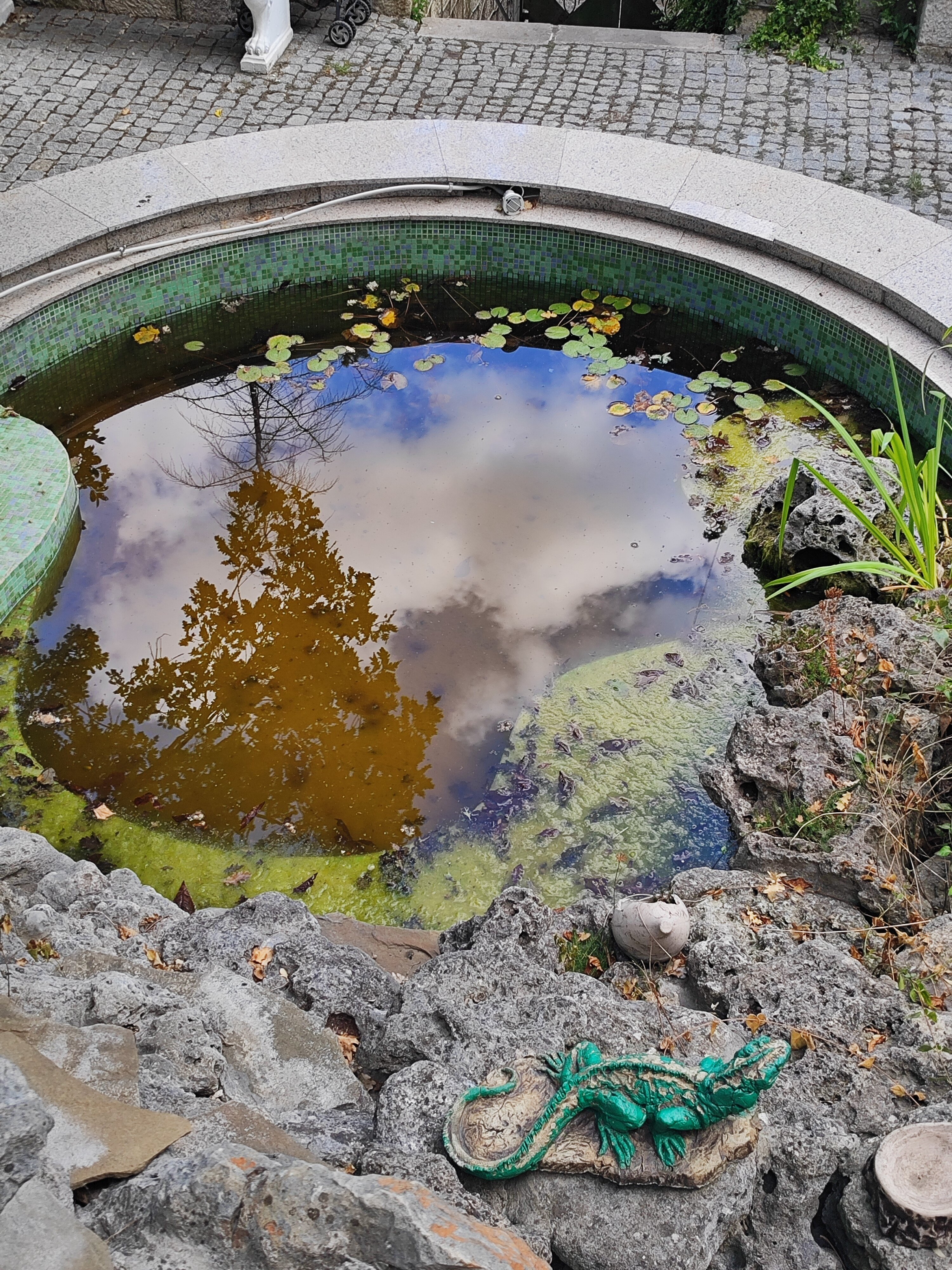 Фото Чайная горка