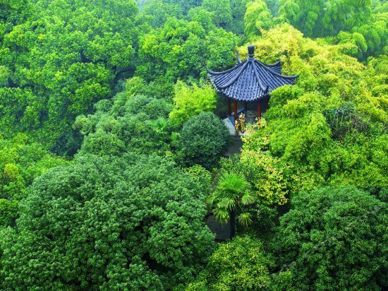 Фото Shangri-La Hangzhou