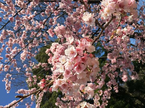 Внешний вид отеля Hotel MyStays Nagoya-Sakae в Нагои, фото 3