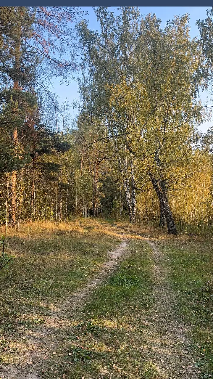 Фото Усадьба Тишина