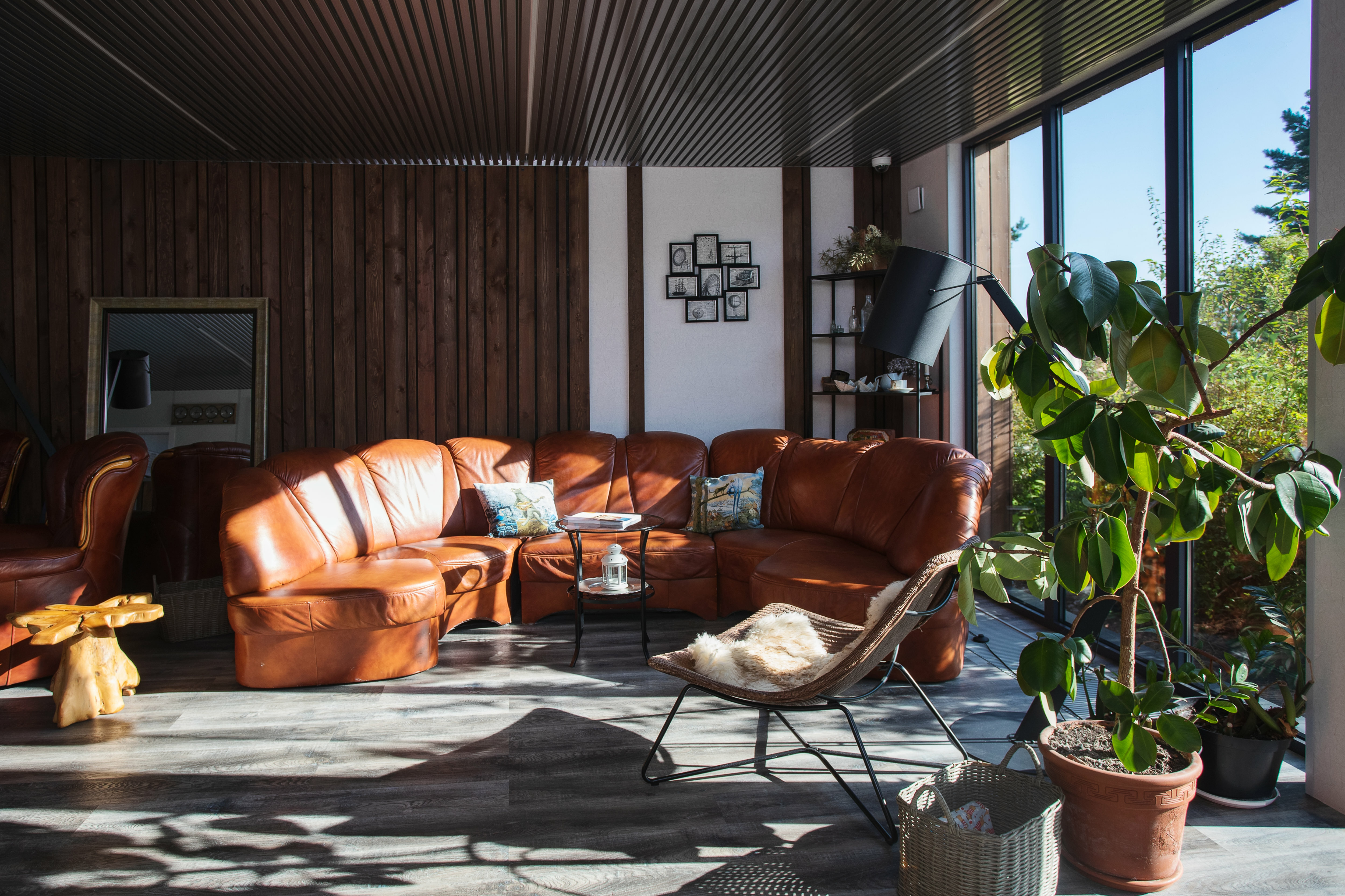 Фото Альтримо