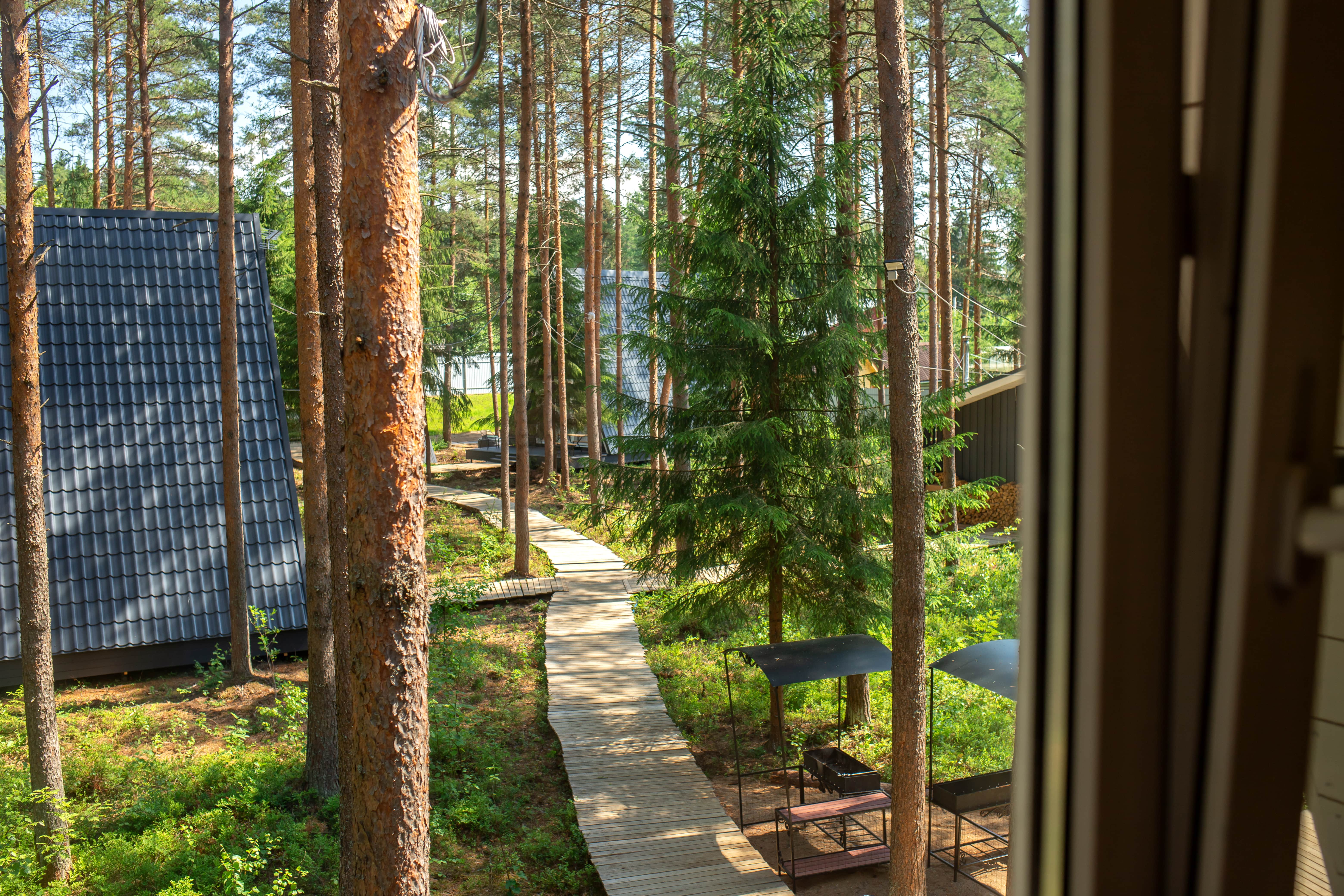 Фото Пикник 2.0