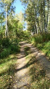 Наугорский лесопарк (Oryol Region, Naugorskiy lesopark), park