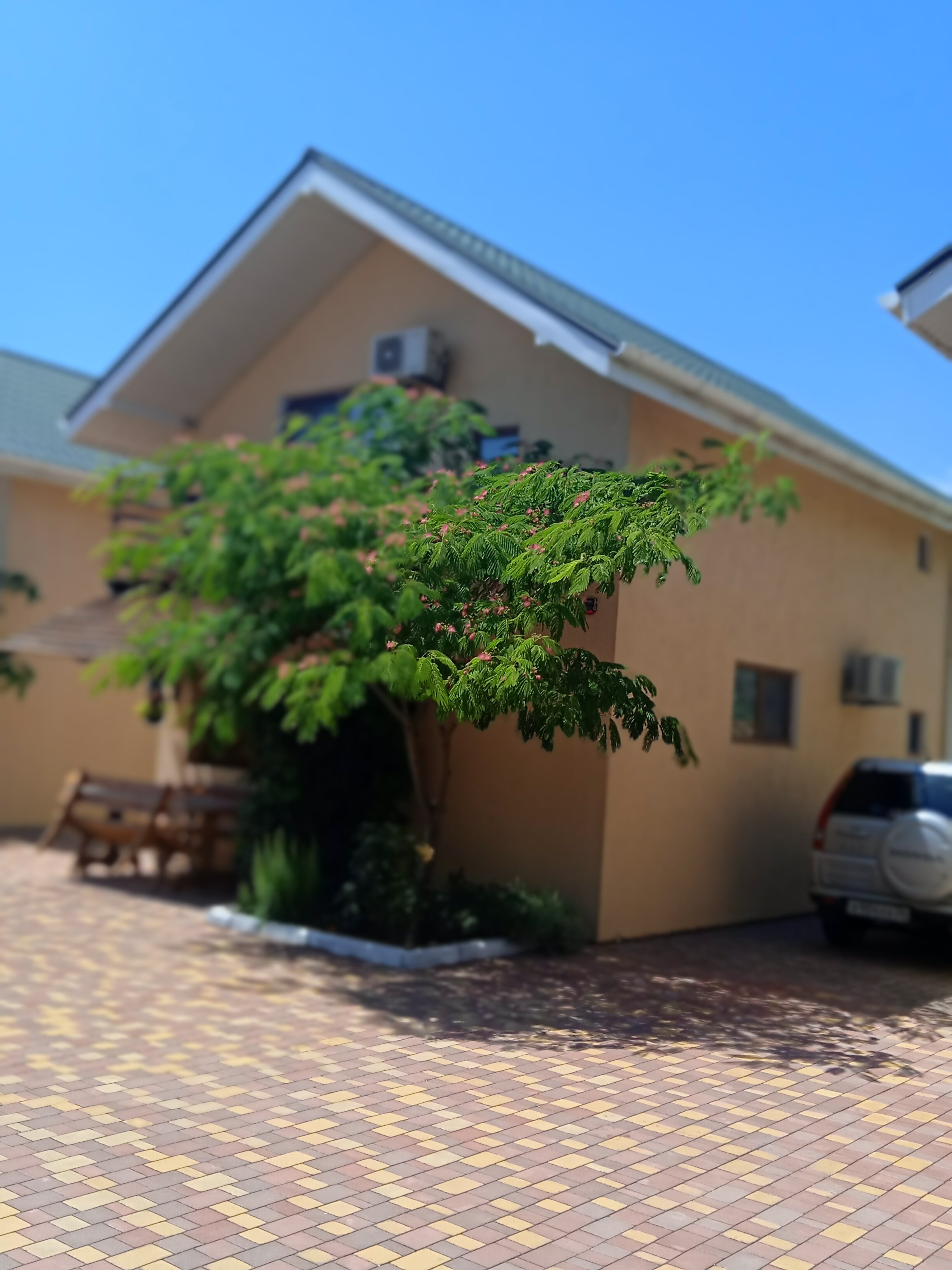 Фото Семейный дворик