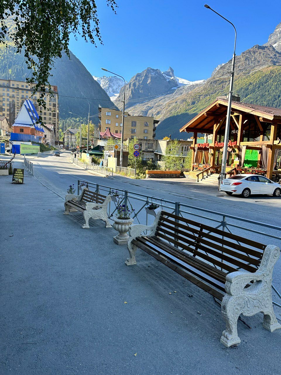 Фото Шафран