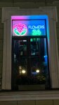 Go Flow (Malaya Morskaya Street, 16) ، محل زهور