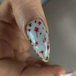By Egorovamm (Moskovskoye shosse, 137), nail salon