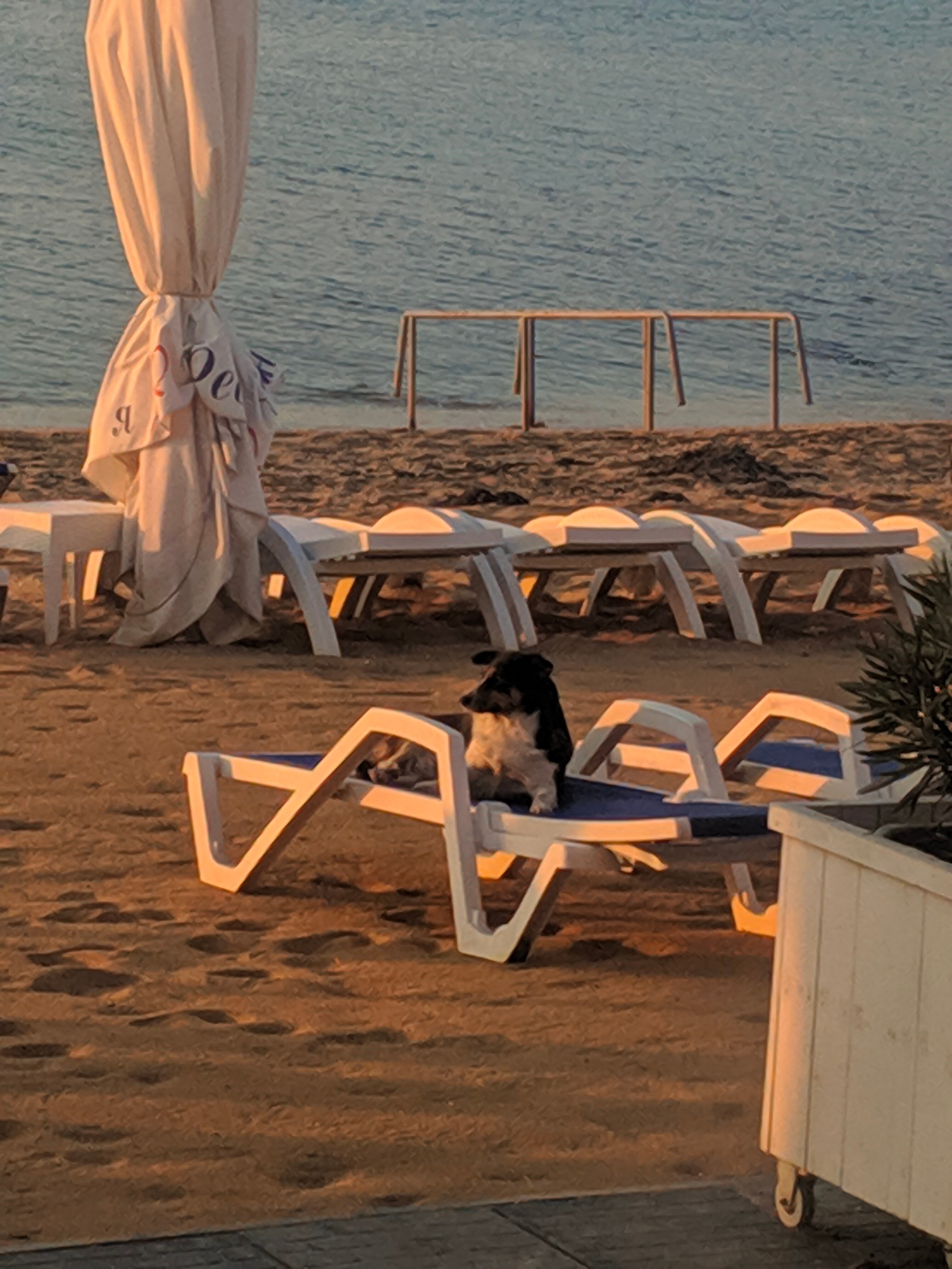 Фото Хижина Робинзона