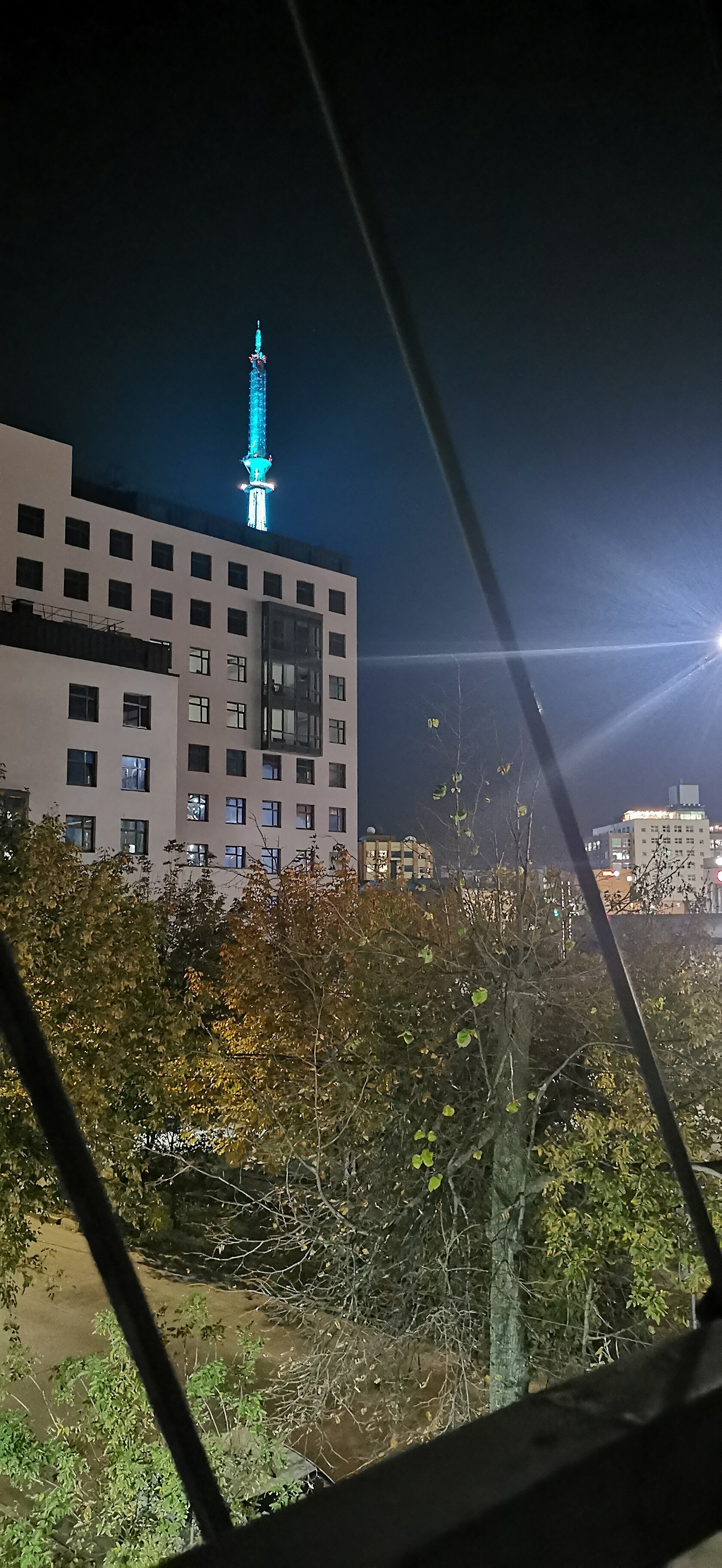 Фото Воробей