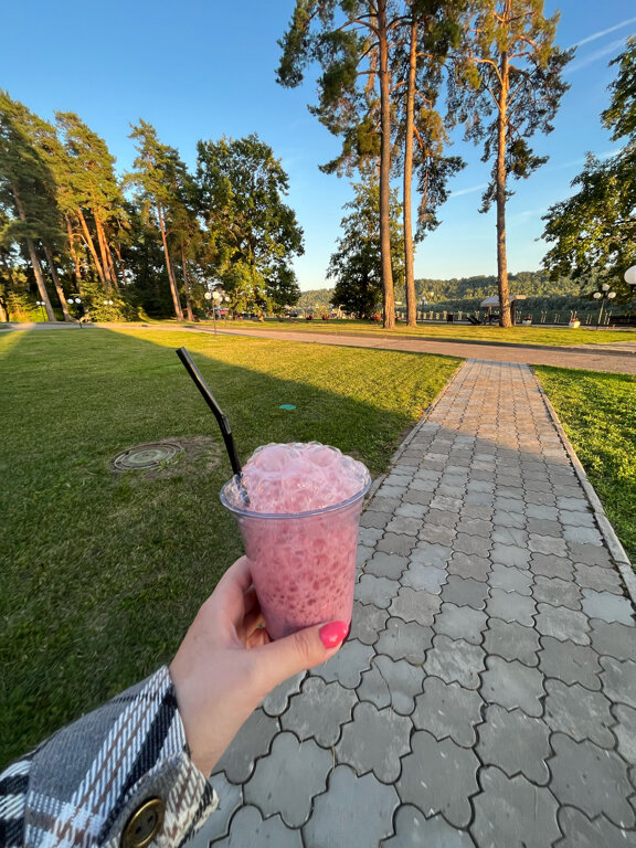 Фото Чайка