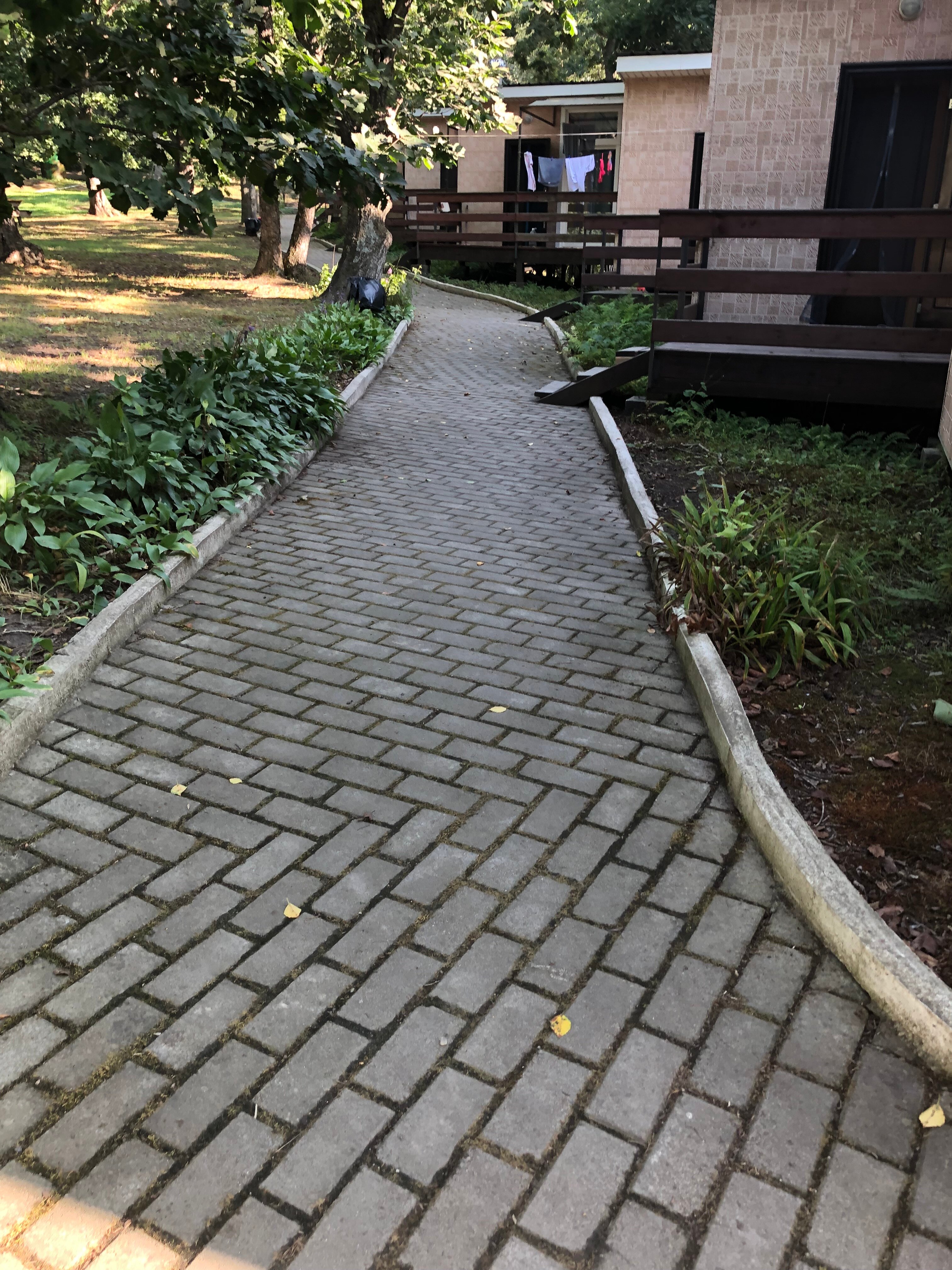 Фото Ковчег