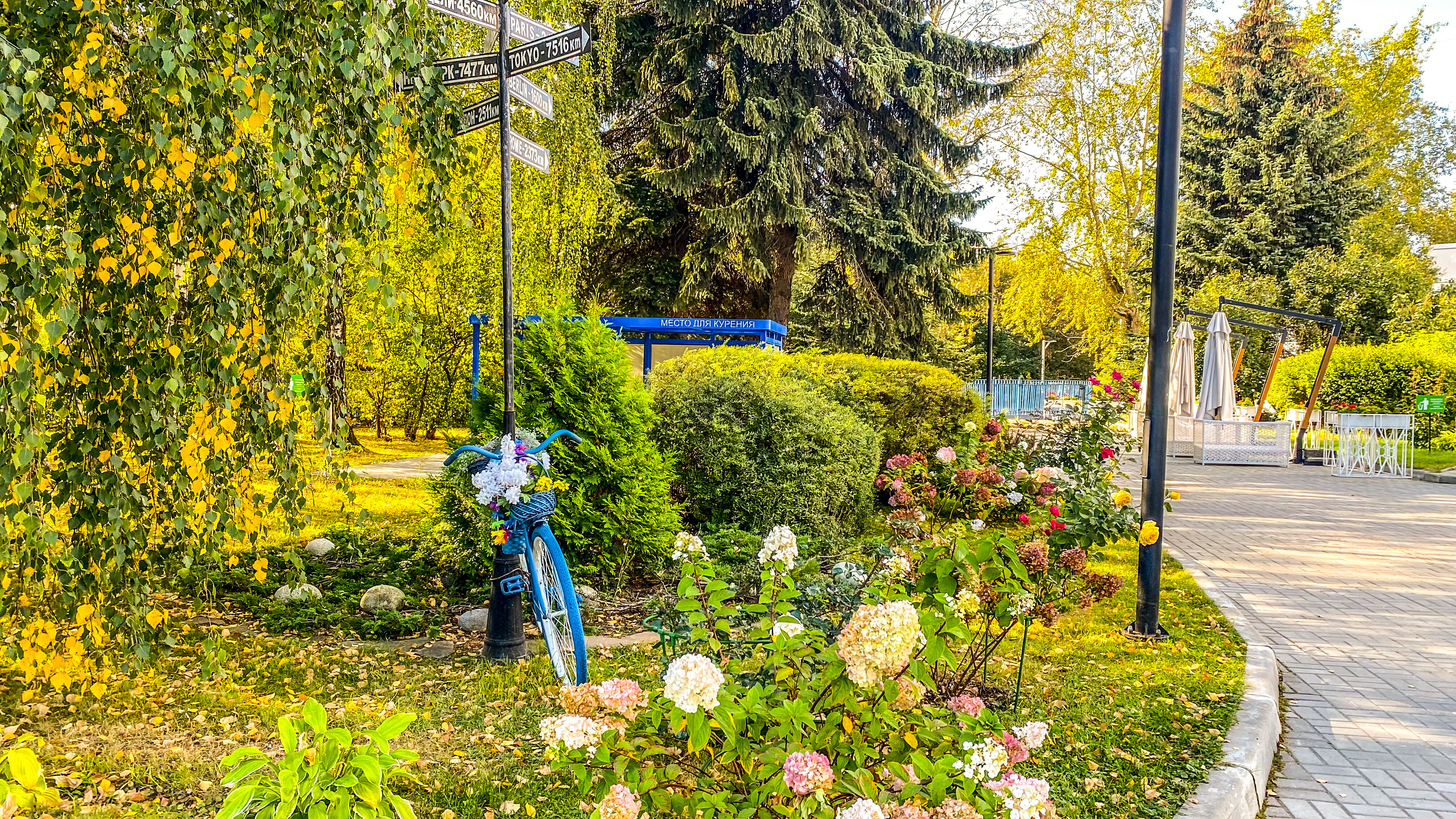 Фото Satelinn Moscow Khovrino