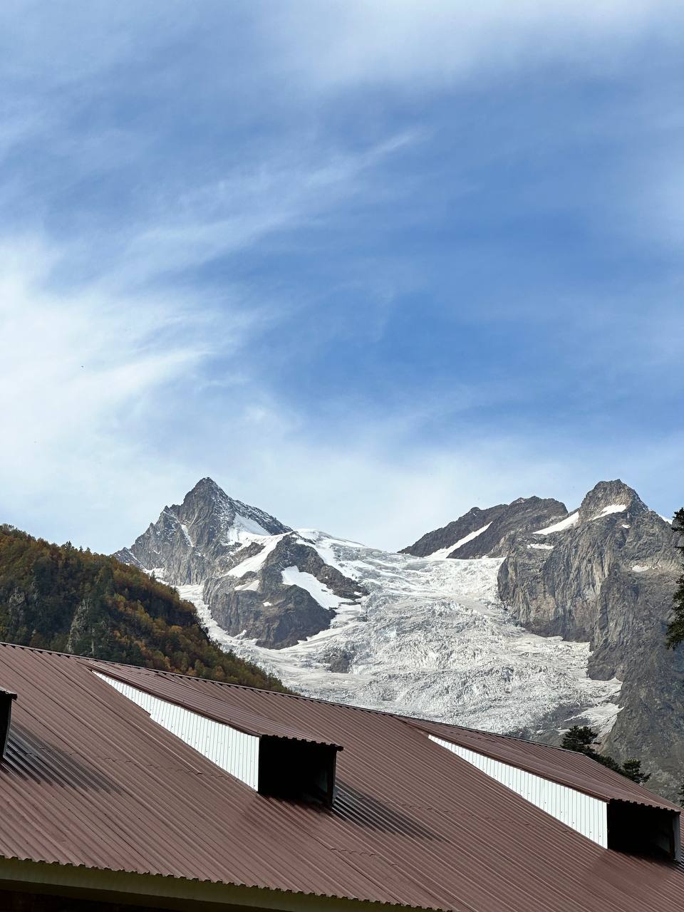 Фото Шафран