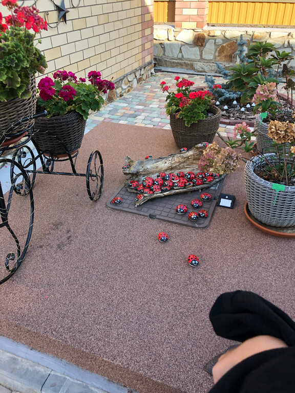 Фото Усадьба