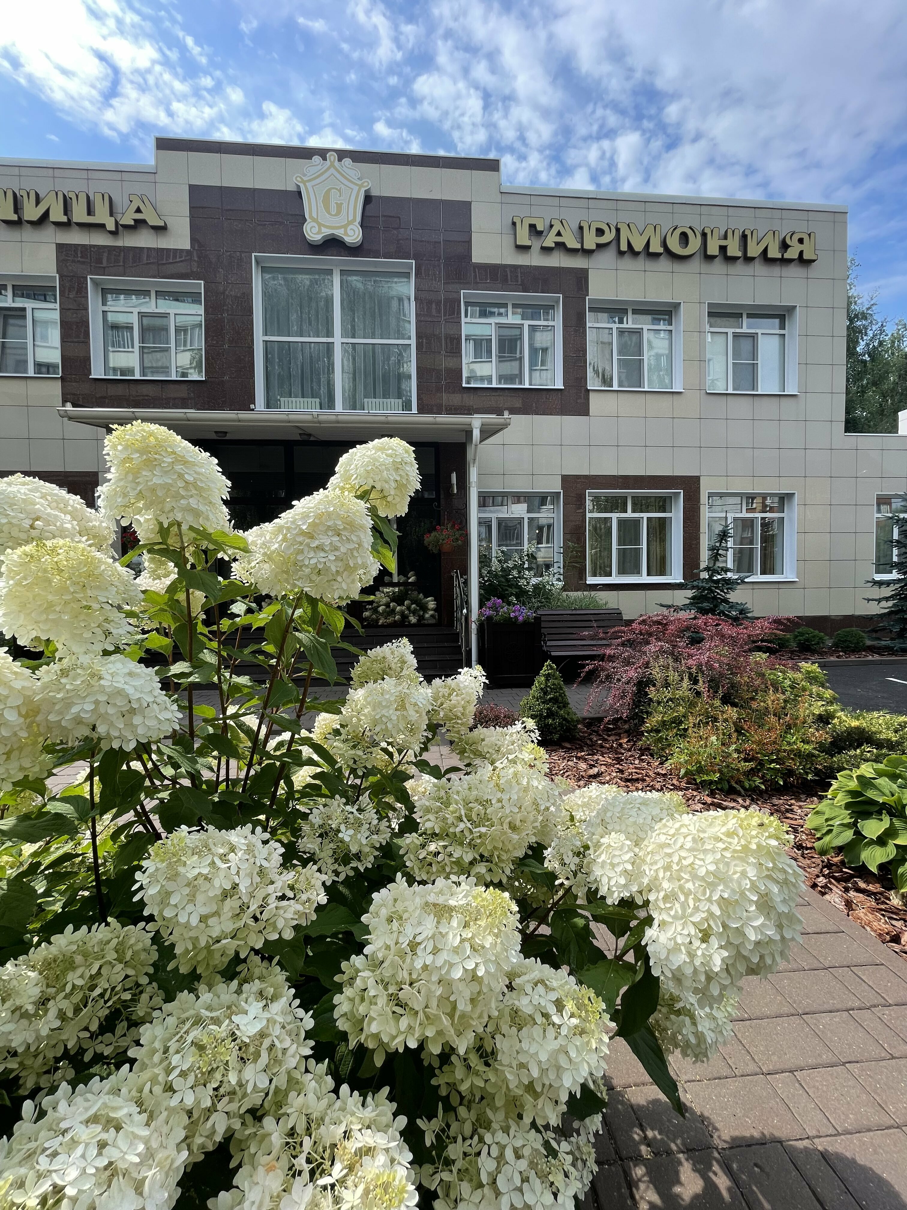 Фото Гармония