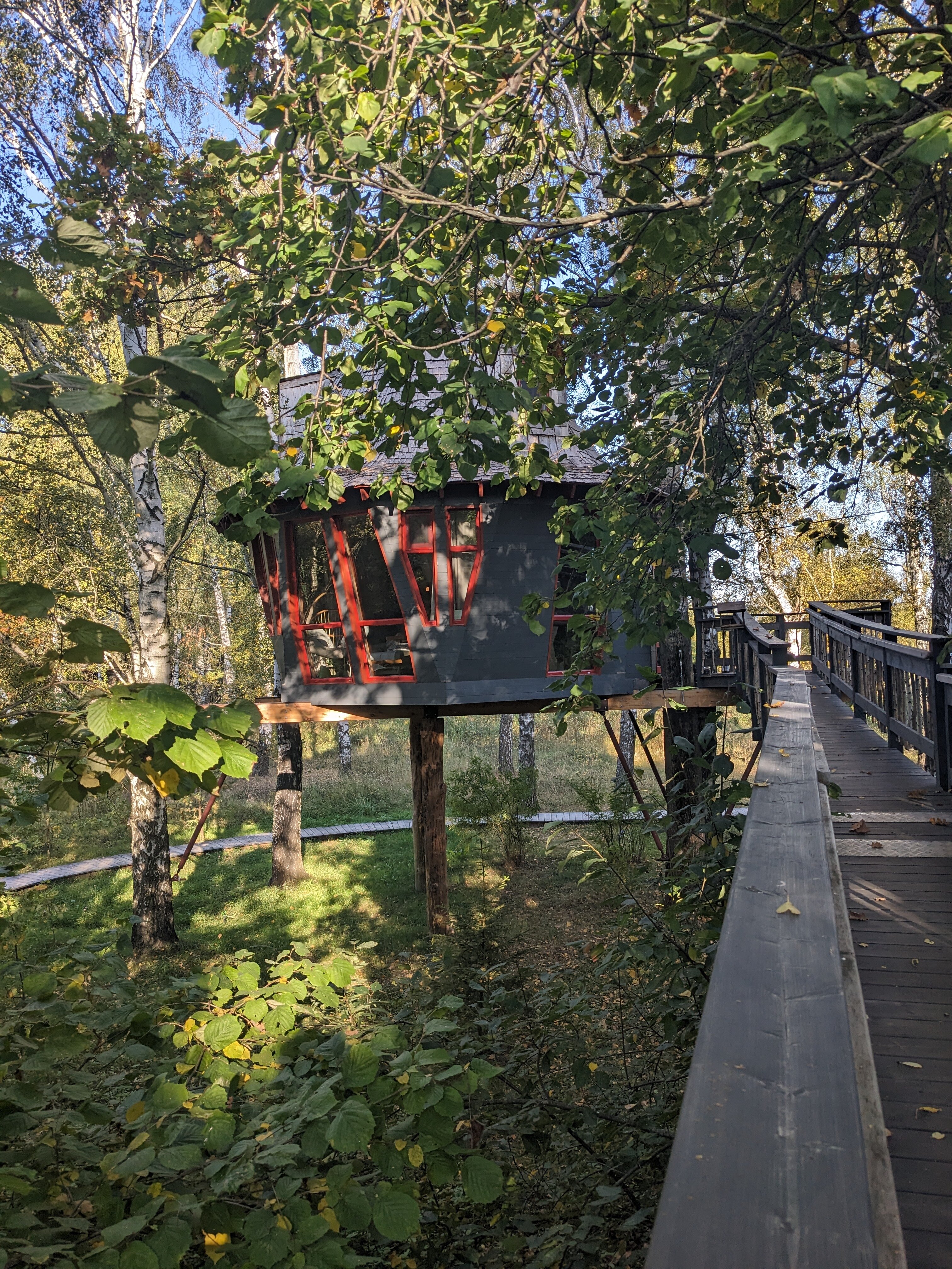 Фото Лапочкино гнездо Дома на деревьях