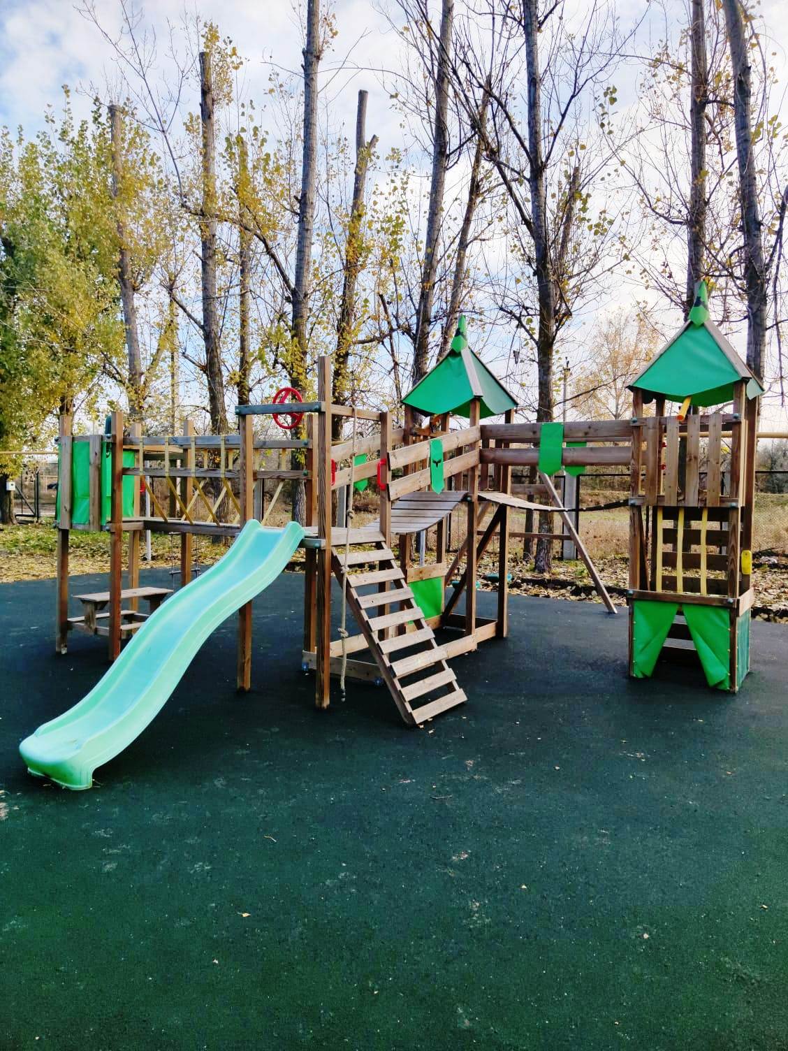 Фото Тополя