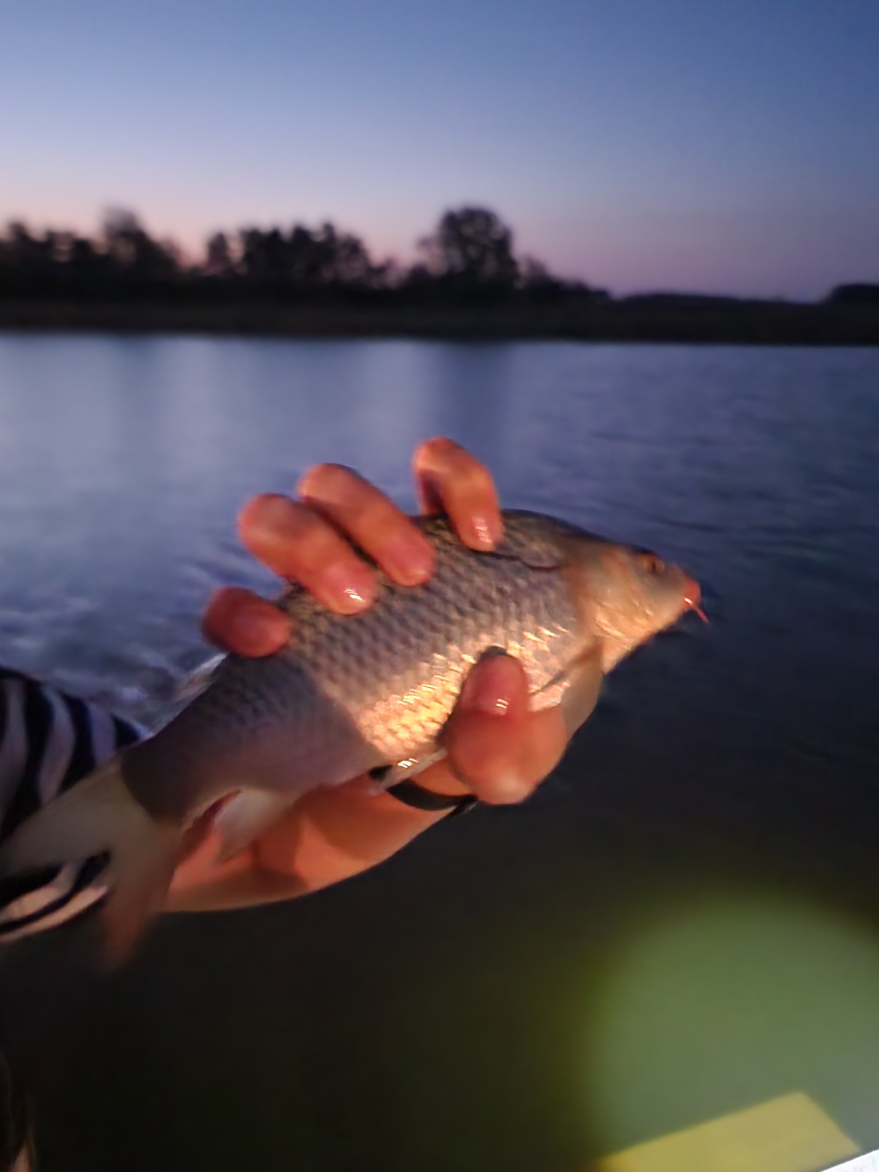 Фото Казачий хуторок