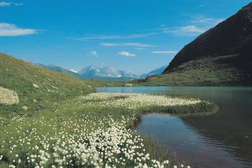 Фото Hotel Hubertus