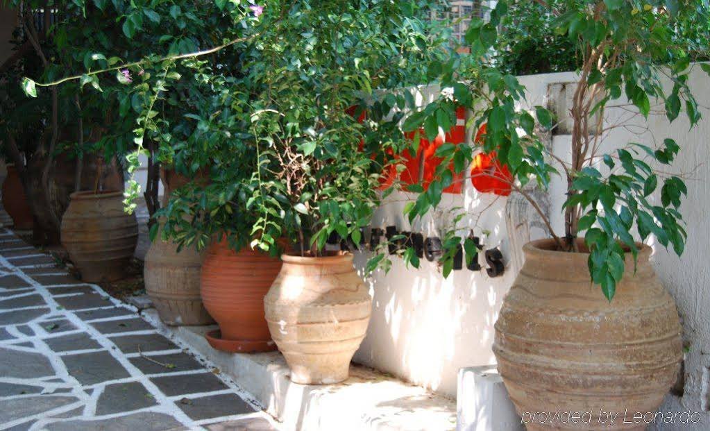 Фото Apollonia Hotel Apartments