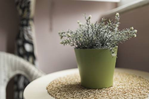 Фото B&b Rome Rooms