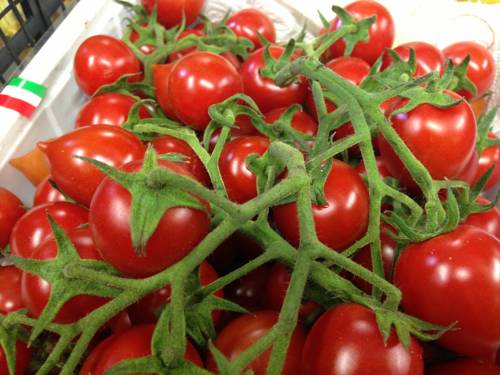 Фото Hotel Casa Yvorio