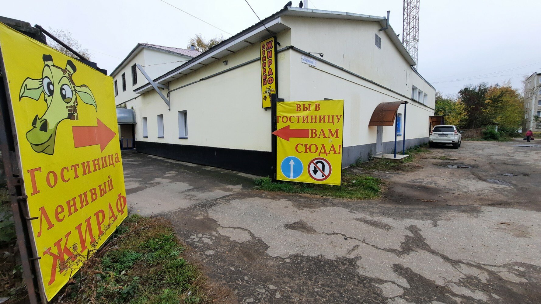 Фото Ленивый жираф