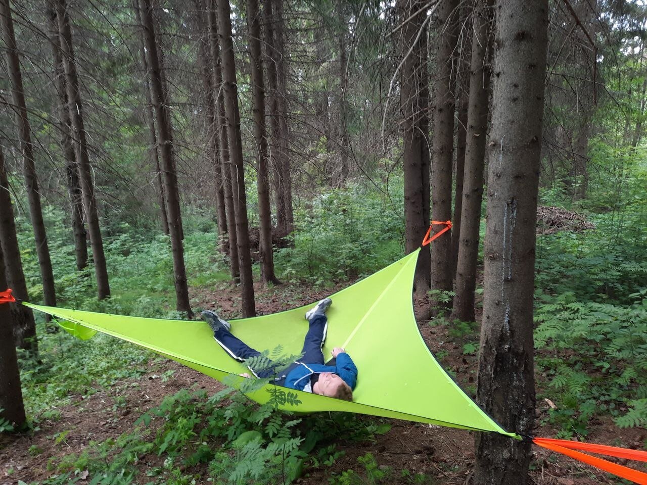 Фото Опушка