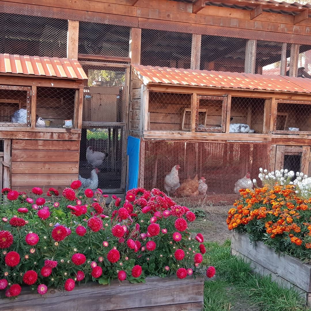 Фото Марьина Роща