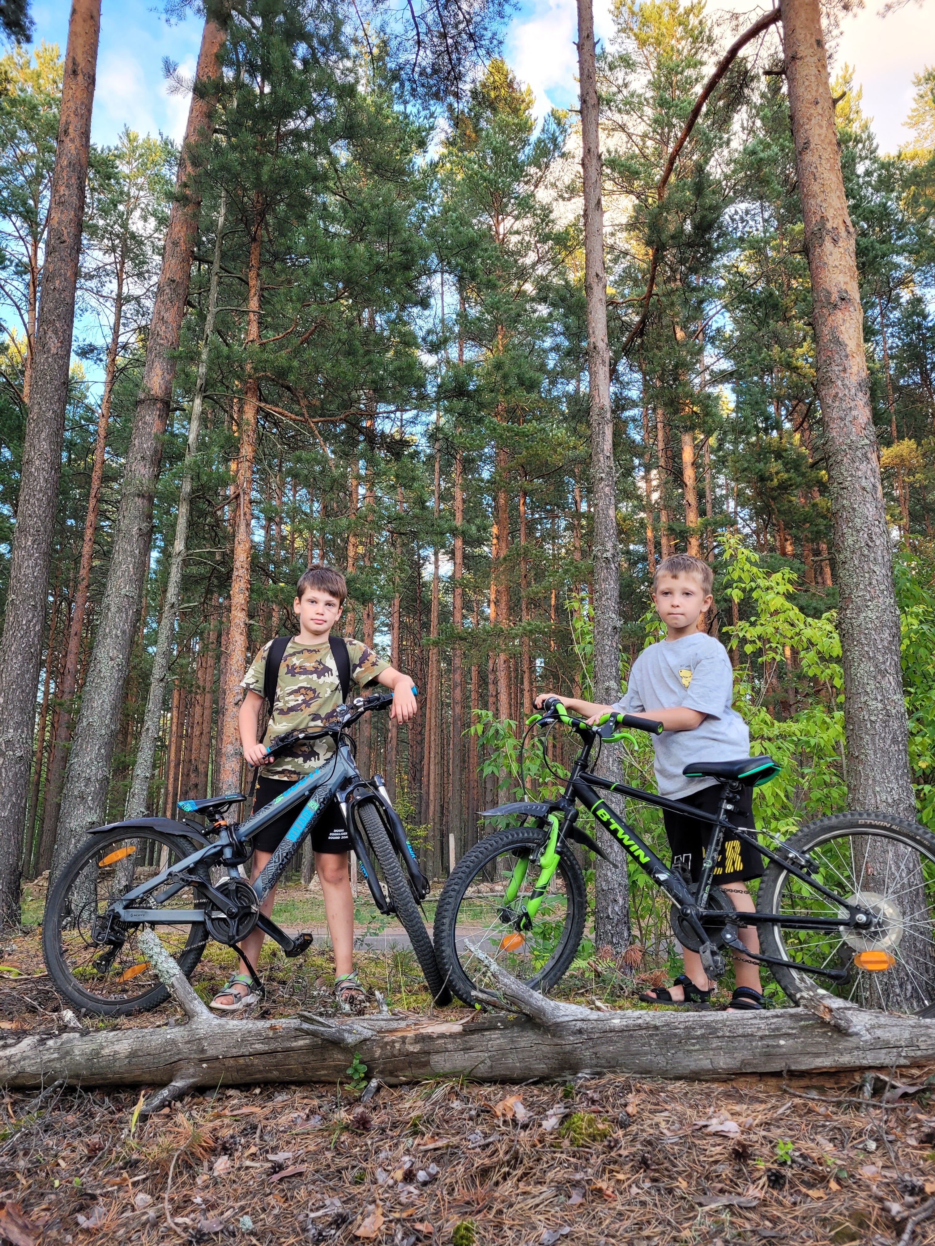 Фото Домик в лесу.76