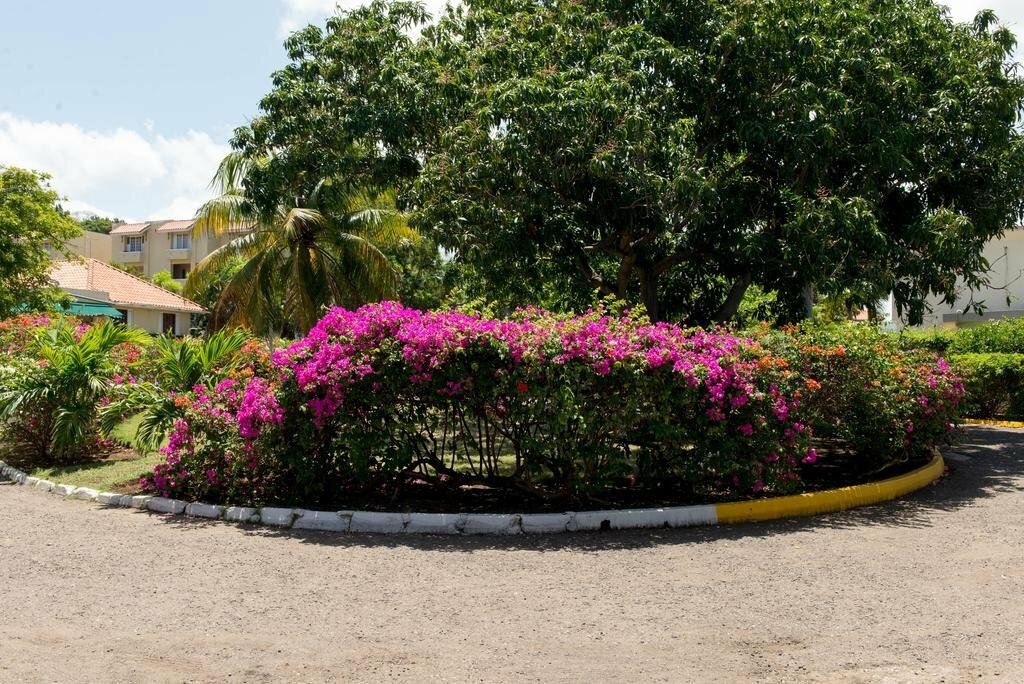 Фото Montego Bay Club Beach Resort