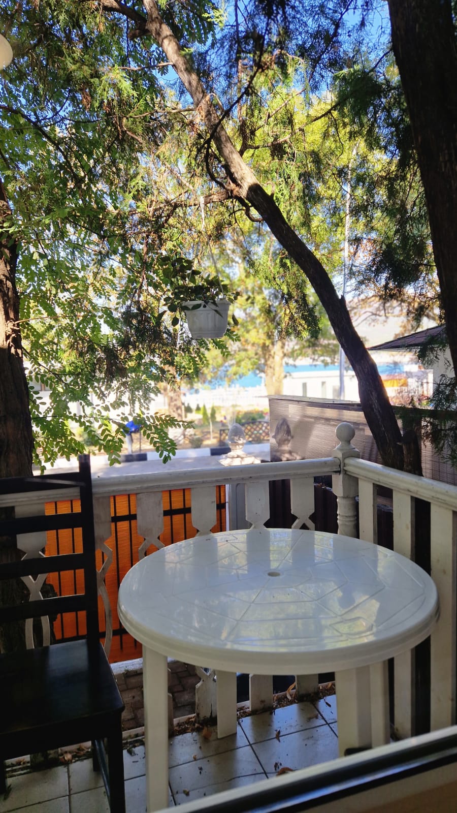 Фото Прованс