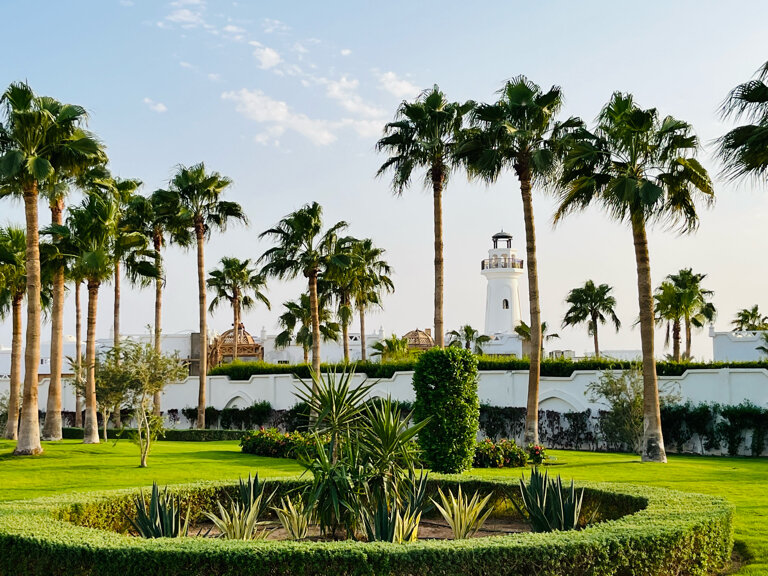 Фото Pickalbatros Palace Resort