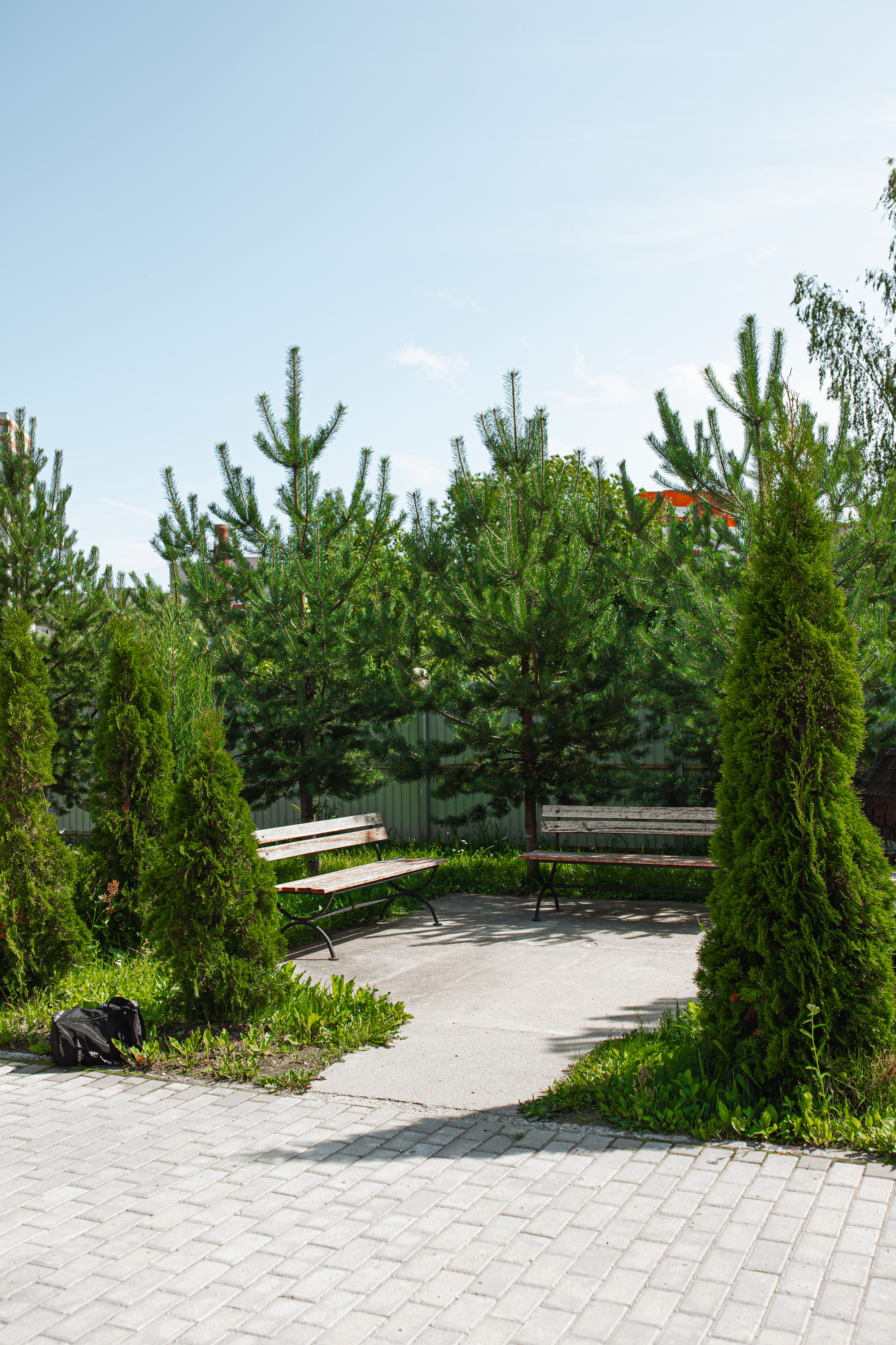 Фото Веряжский