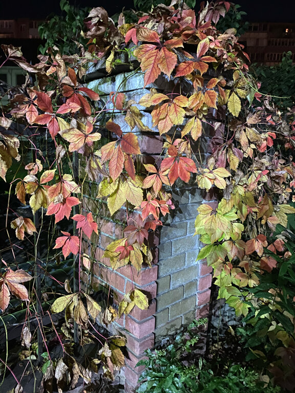 Фото Винтаж