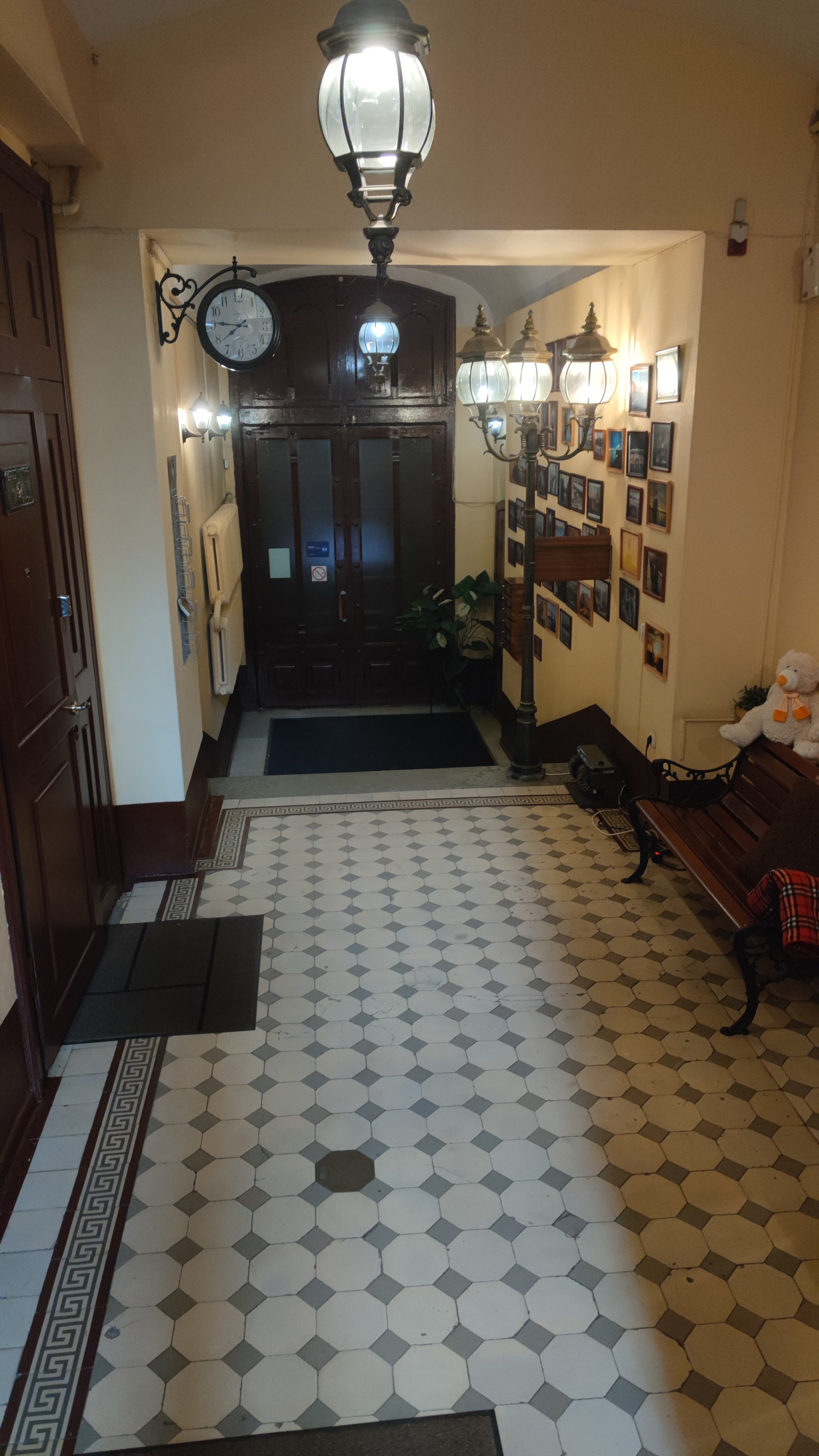 Фото Шелфорт