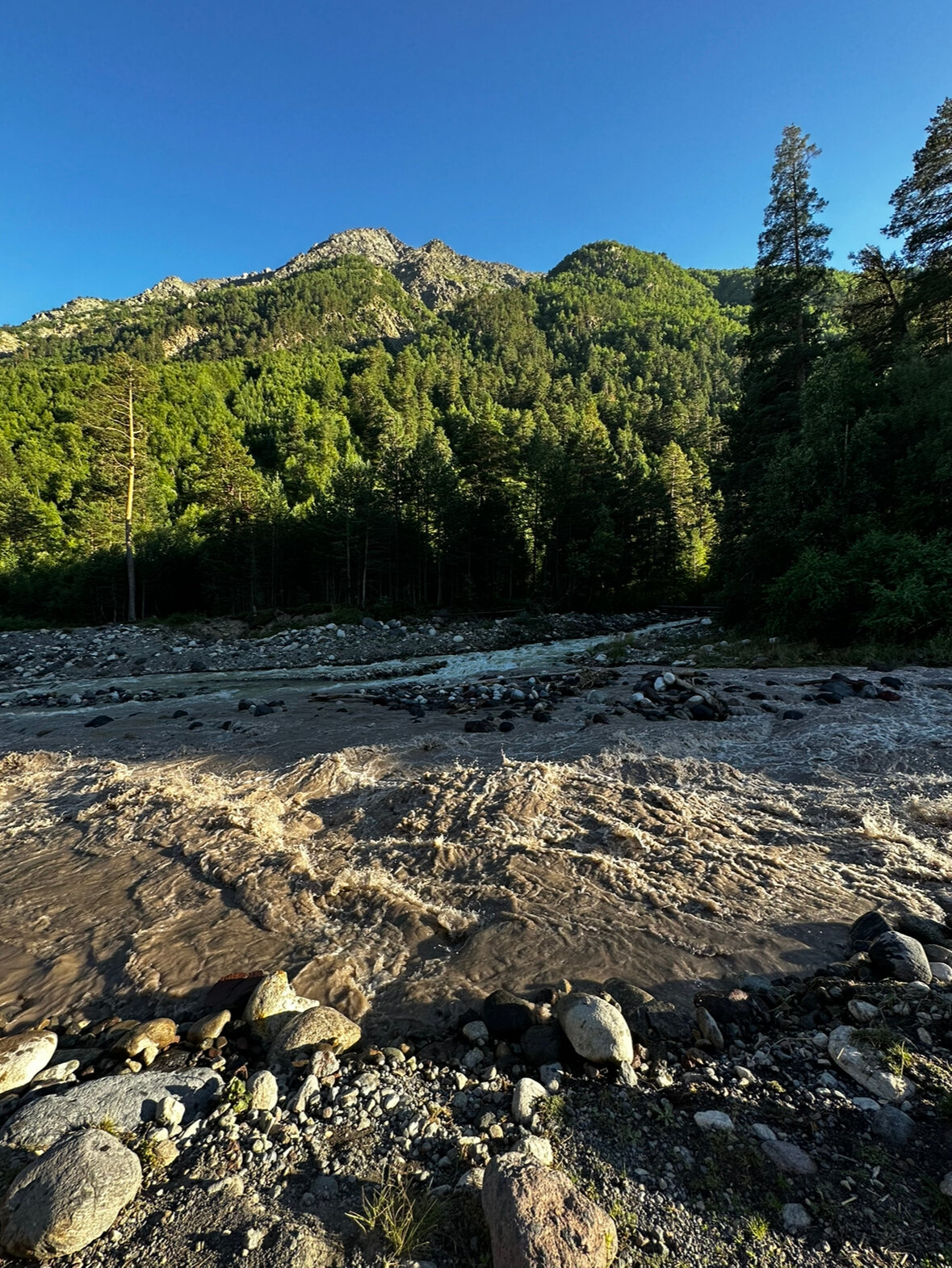 Фото Крокус